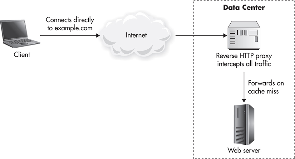 Public Reverse Proxy